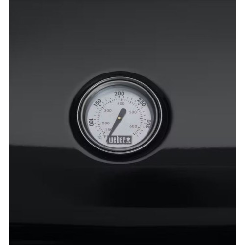 Barbecue elettrico Weber Lumin con Stand 92010853