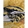 Quadro dipinto a mano su tela "Sinergia Intrecciata: Il Legame delle Mani"