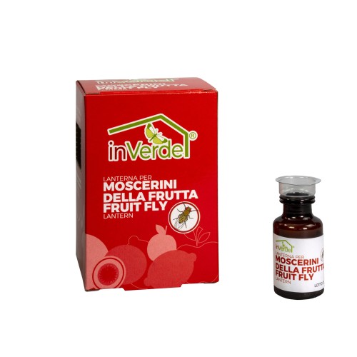 Trappola angolare per mosche - 2 pezzi In Verde