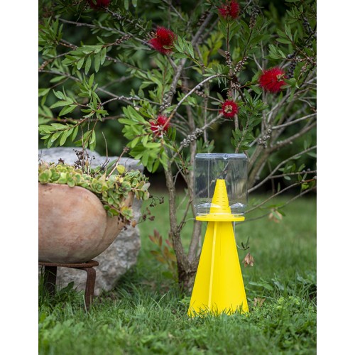 Trappola per Cimici Asiatiche In Verde