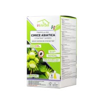 Trappola per Cimici Asiatiche In Verde Trappola per Cimici Asiatiche In Verde