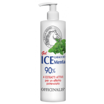 Gel ICE Ghiaccio e Mente 90% Gel ICE Ghiaccio e Mente 90%
