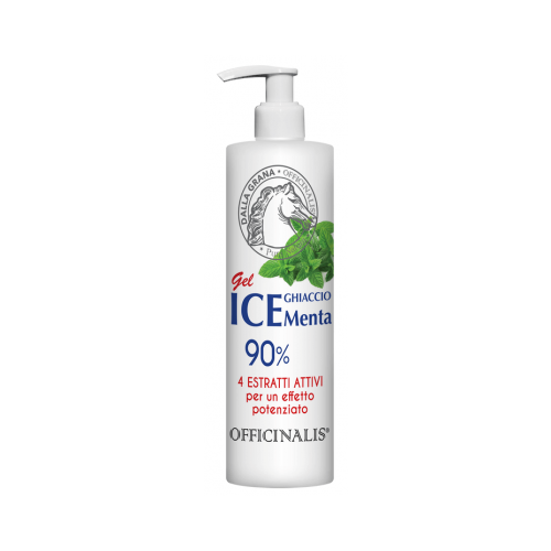 Gel ICE Ghiaccio e Mente 90%