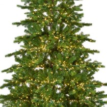 Albero di natale Galloway spruce LED 180 cm Kaemingk Albero di natale Galloway spruce LED 180 cm Kaemingk