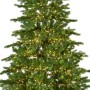 Albero di natale Galloway spruce LED 180 cm Kaemingk