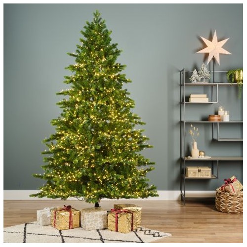 Albero di natale Galloway spruce LED 180 cm Kaemingk