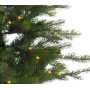 Albero di Natale Grandis potted tree Micro LED BO Kaemingk IN e Outdoor