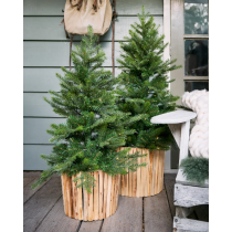 Albero di Natale Grandis potted tree Micro LED BO Kaemingk IN e Outdoor