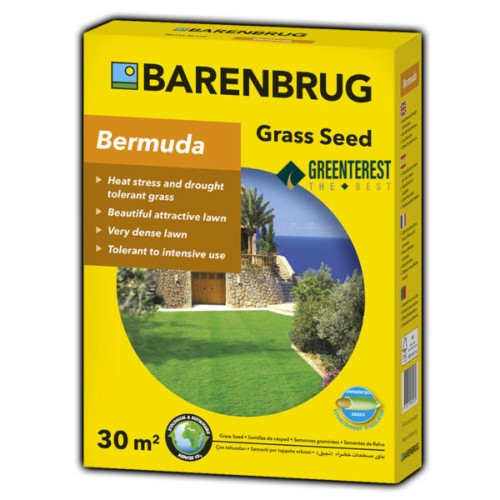 Semi per prato Barenbrug Bermuda PAN-AM 500 gr