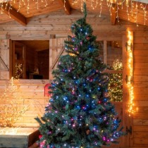 Luci di Natale Lotti Wonder 200 LED multicolore 16 m con telecomando Luci di Natale Lotti Wonder 200 LED multicolore 16 m con telecomando