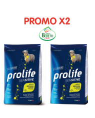 PROMO X2