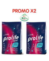 PROMO X2