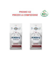 PROMO X2