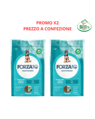 PROMO X2