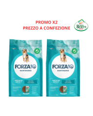 PROMO X2
