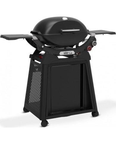 Barbecue Weber a Gas Q2800 Con Carrello Permanente Barbecue Weber a Gas Q2800 Con Carrello Permanente