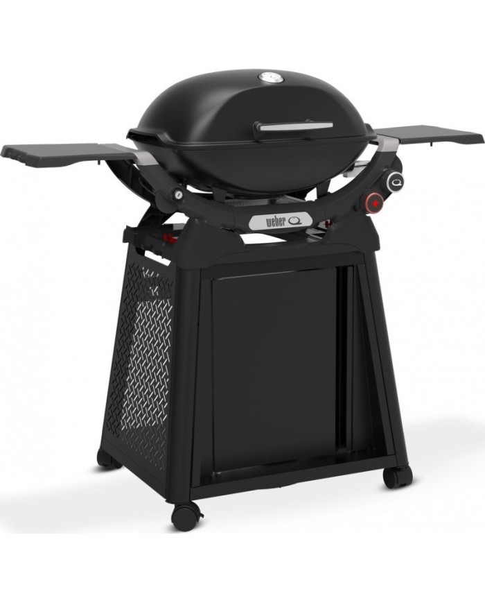 Barbecue Weber a Gas Q2800 Con Carrello Permanente