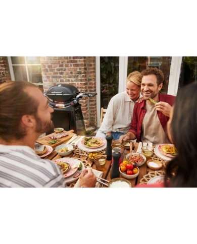 Barbecue Weber a Gas Q2800 Con Carrello Permanente