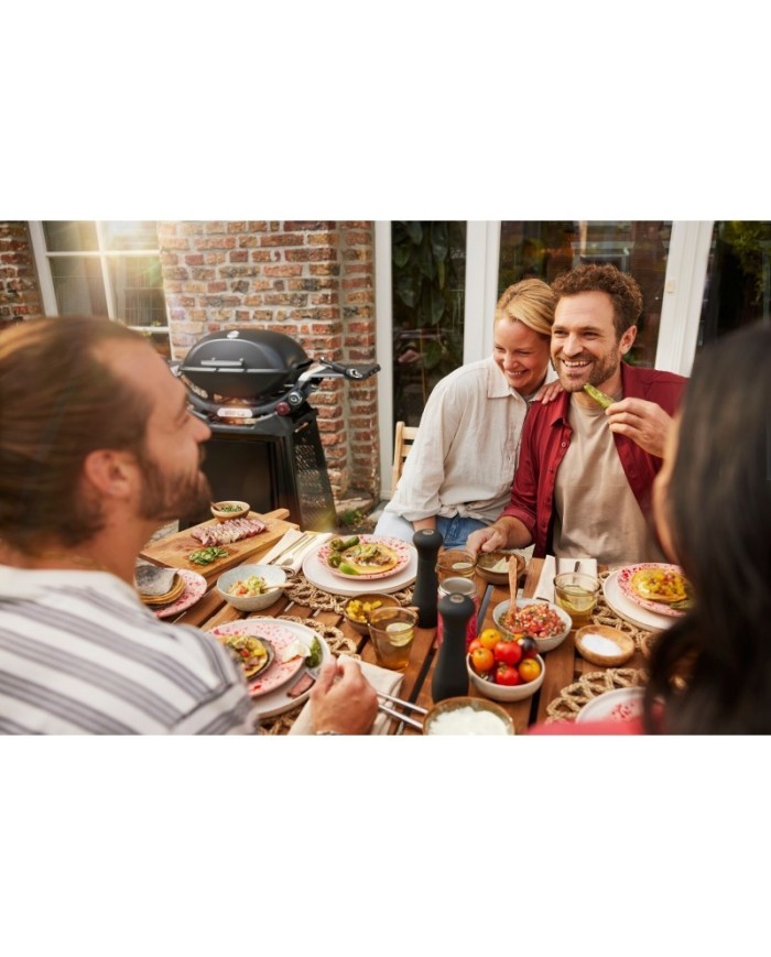 Barbecue Weber a Gas Q2800 Con Carrello Permanente