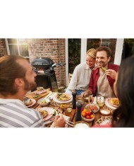 Barbecue Weber a Gas Q2800 Con Carrello Permanente