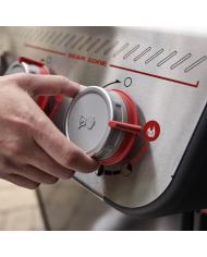 Barbecue Weber A Gas Spirit E-325