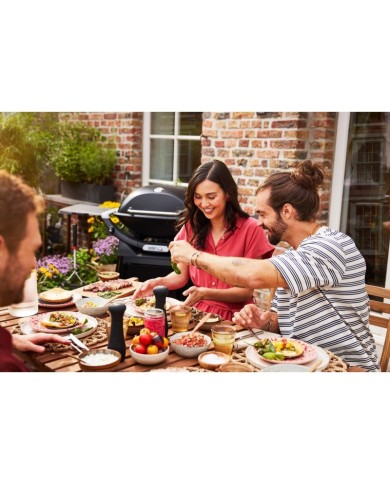 Barbecue a gas Weber Q 3200 black con carrello integrato 57012329 Barbecue a gas Weber Q 3200 black con carrello integrato 57012329