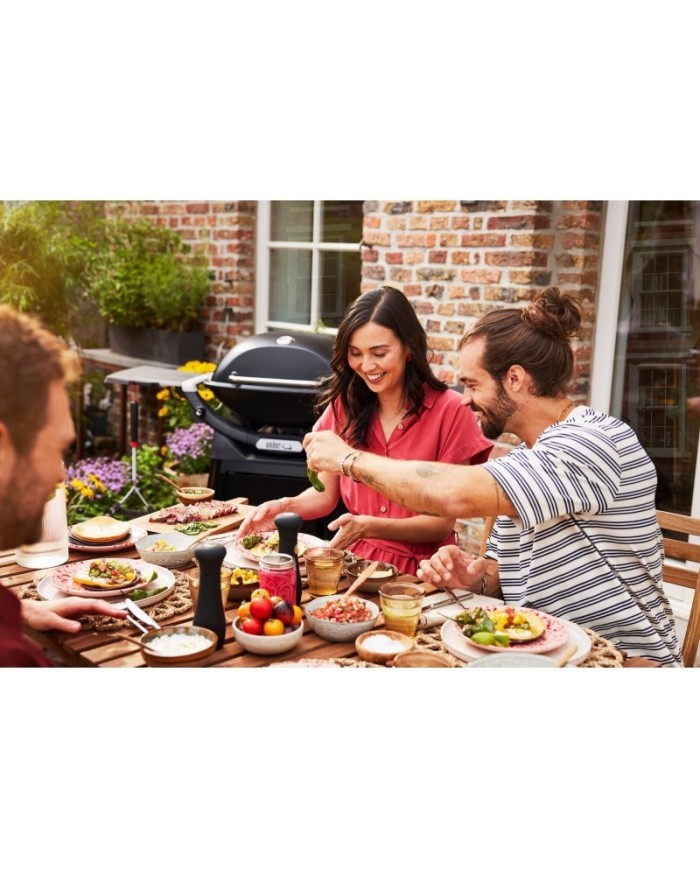 Barbecue a gas Weber Q 3200 black con carrello integrato 57012329