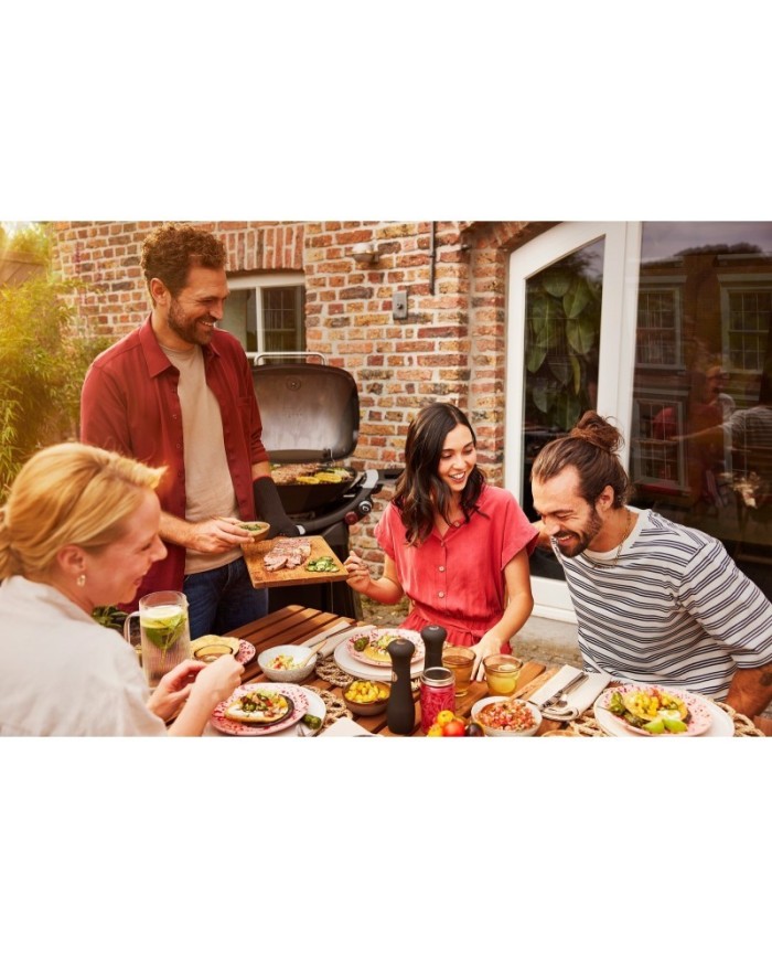 Barbecue a gas Weber Q 3200 black con carrello integrato 57012329