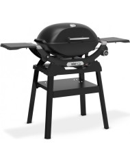 Barbecue Weber a Gas Q 2200N con stand
