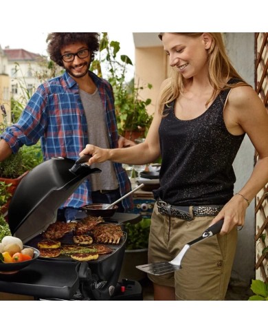 weber Q 1200 stand black weber Q 1200 stand black