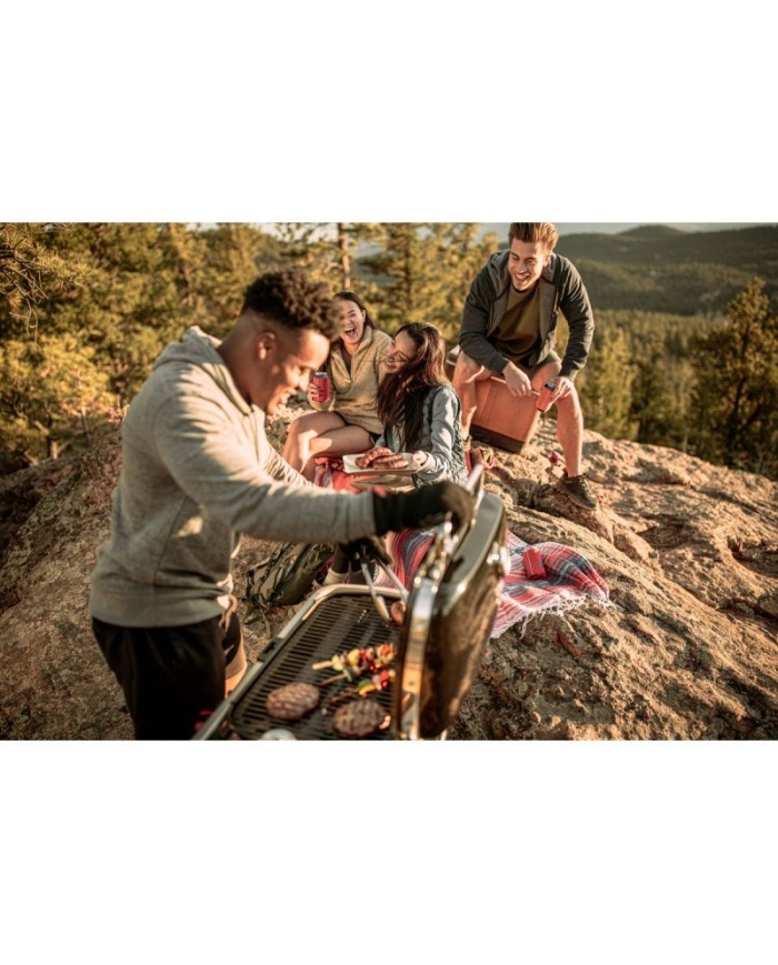 Barbecue a gas Weber Traveler Stealth Edition 9013053