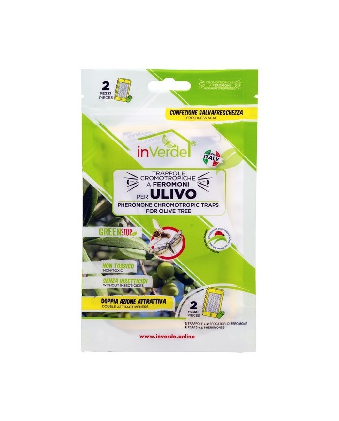 Trappola  adesiva cromotropica ulivo