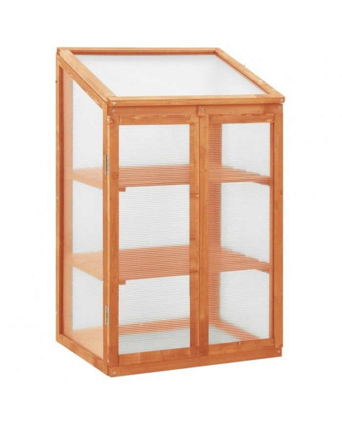 Serra ad armadio in legno di abete con 2 ante apribili e copertura in policarbonato