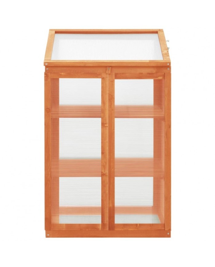 Serra ad armadio in legno di abete con 2 ante apribili e copertura in policarbonato