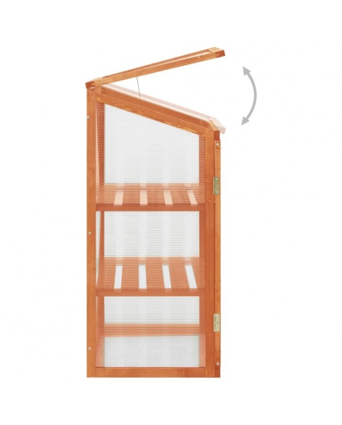 Serra ad armadio in legno di abete con 2 ante apribili e copertura in policarbonato