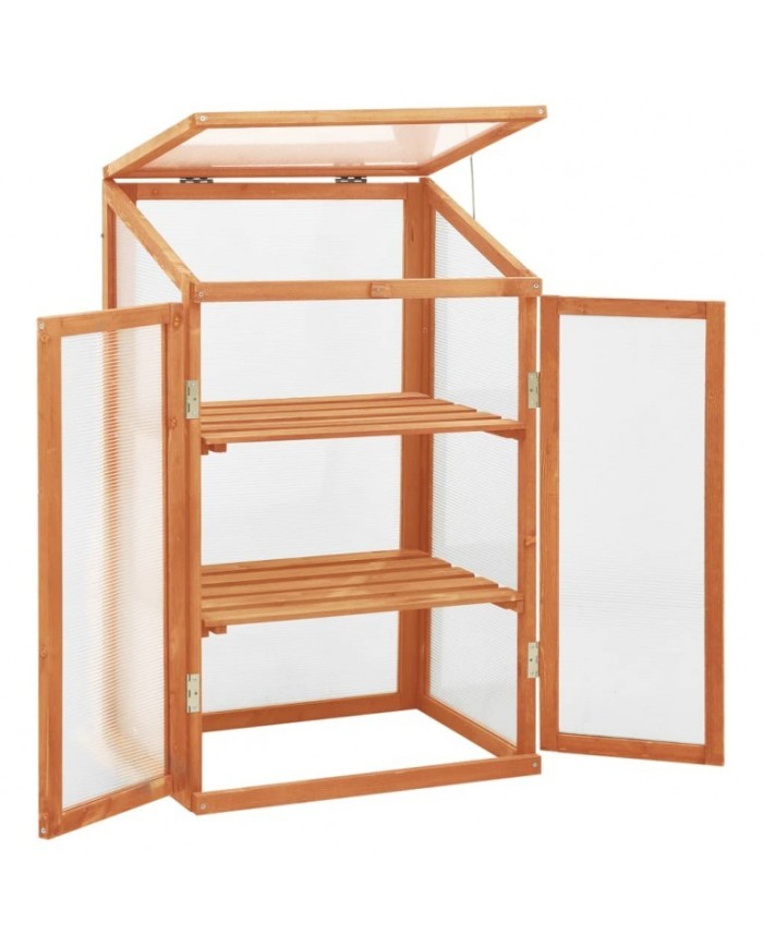 Serra ad armadio in legno di abete con 2 ante apribili e copertura in policarbonato