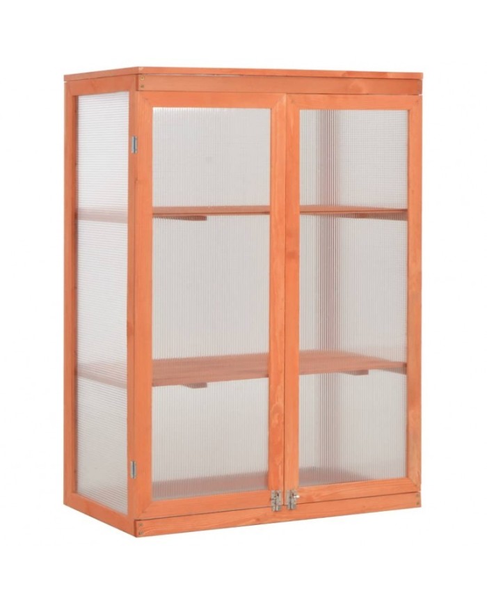 Serra ad armadio in legno con 2 ante e tetto apribili e copertura in policarbonato