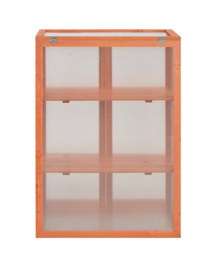 Serra ad armadio in legno con 2 ante e tetto apribili e copertura in policarbonato