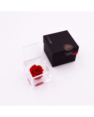 Rosa stabilizzata FlowerCube cubo 6x6 cm