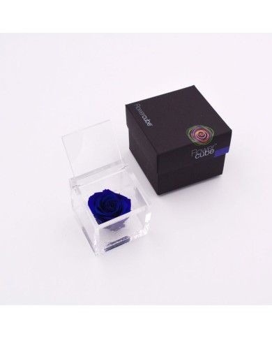 Rosa stabilizzata FlowerCube cubo 6x6 cm Rosa stabilizzata FlowerCube cubo 6x6 cm