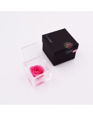 Rosa stabilizzata FlowerCube cubo 6x6 cm