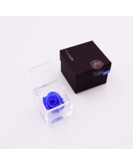 Rosa stabilizzata FlowerCube cubo 6x6 cm