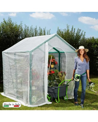 Serra da giardino Verdemax Violetta H 220 cm, L 200 x P 200 cm Serra da giardino Verdemax Violetta H 220 cm, L 200 x P 200 cm