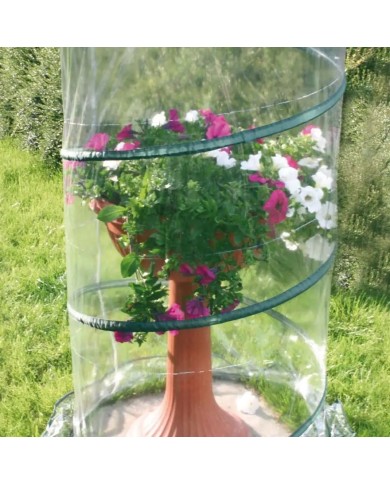 Serra Pop-up per anthurium Verdemax 2634 70 x 100 cm Serra Pop-up per anthurium Verdemax 2634 70 x 100 cm