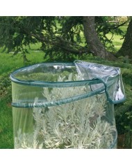 Serra Pop-up per anthurium Verdemax 2634 70 x 100 cm