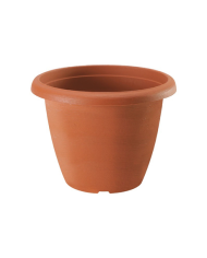 Vaso campana Plastecni 20