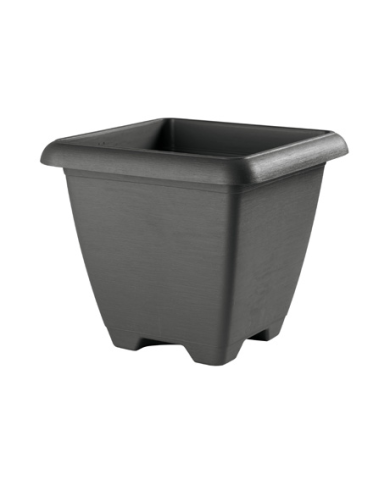 Vaso Terrae Maxi Quadro Plastecnic 43 Vaso Terrae Maxi Quadro Plastecnic 43