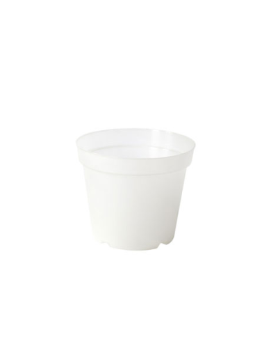 Vaso Orchidea Plastecnic 13 Vaso Orchidea Plastecnic 13