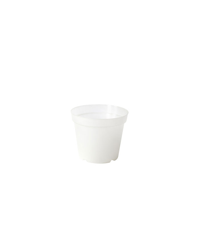 Vaso Orchidea Plastecnic 13