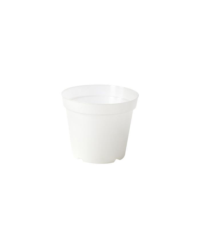 Vaso Orchidea Plastecnic 18